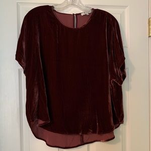 Magenta Velvet Madewell Top Large
